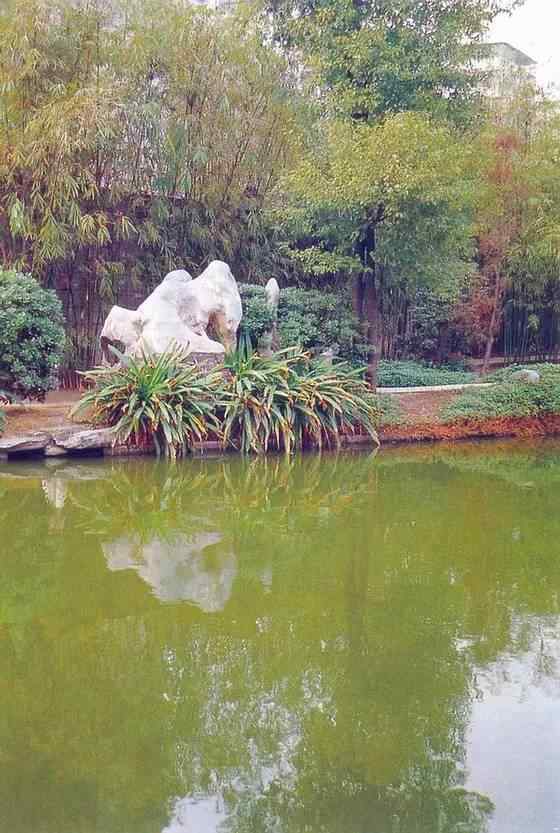 【欣赏】史上最全园林景观石图集(图22)