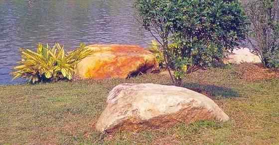 【欣赏】史上最全园林景观石图集(图32)