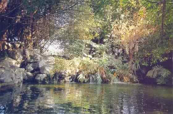 【欣赏】史上最全园林景观石图集(图30)