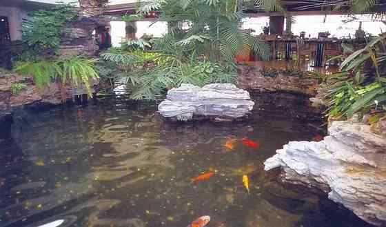 【欣赏】史上最全园林景观石图集(图34)