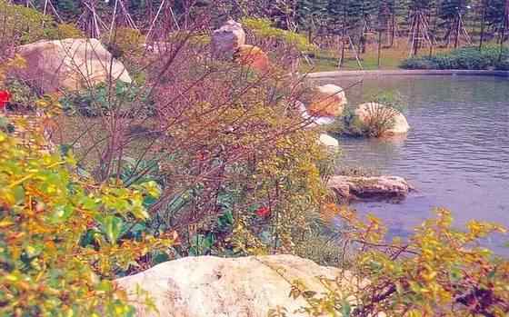 【欣赏】史上最全园林景观石图集(图40)