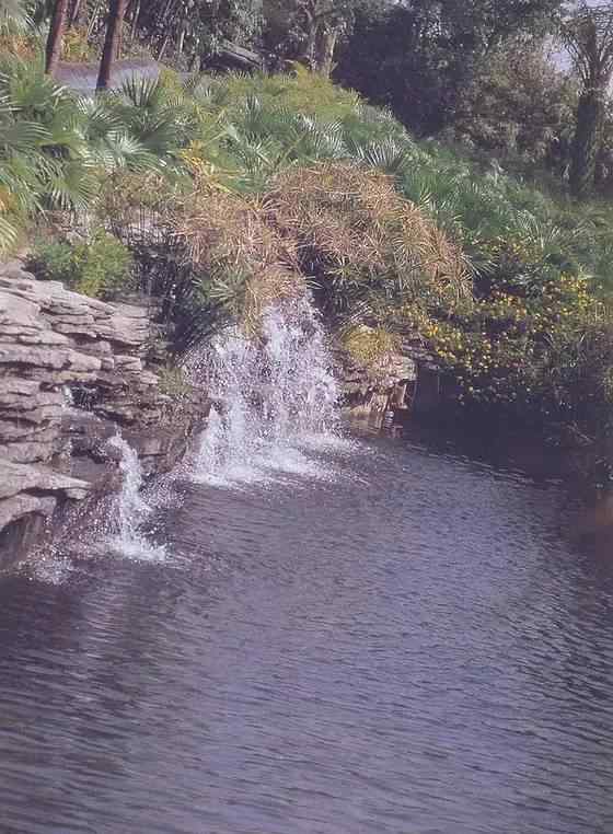 【欣赏】史上最全园林景观石图集(图54)