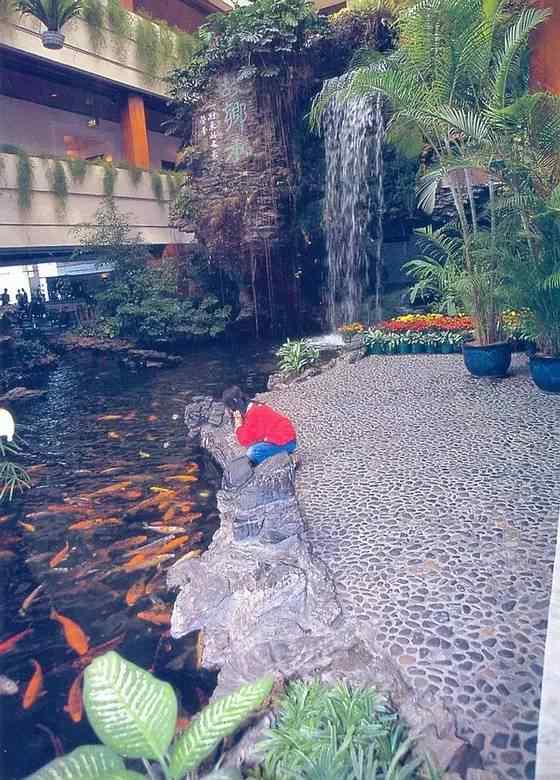 【欣赏】史上最全园林景观石图集(图75)