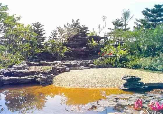 【欣赏】史上最全园林景观石图集(图69)