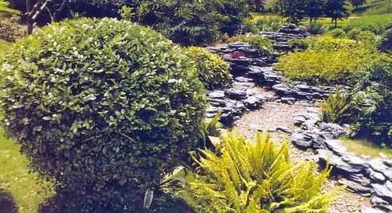 【欣赏】史上最全园林景观石图集(图83)