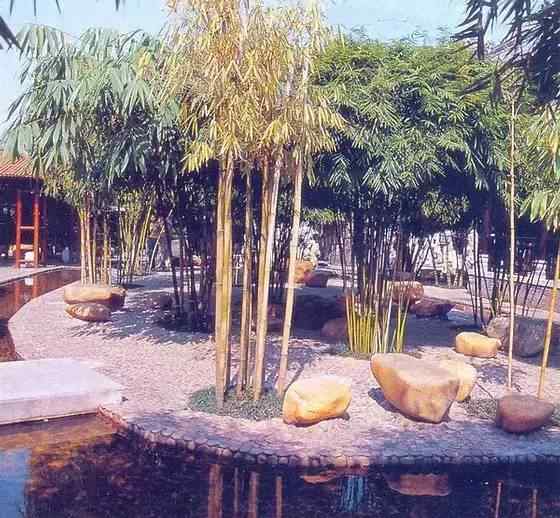 【欣赏】史上最全园林景观石图集(图78)