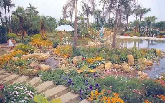 【欣赏】史上最全园林景观石图集(图88)