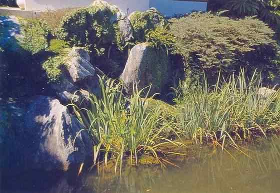 【欣赏】史上最全园林景观石图集(图87)