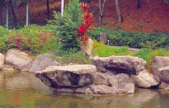 【欣赏】史上最全园林景观石图集(图102)