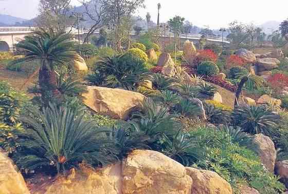 【欣赏】史上最全园林景观石图集(图105)