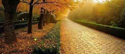 铺一路的静谧深秋