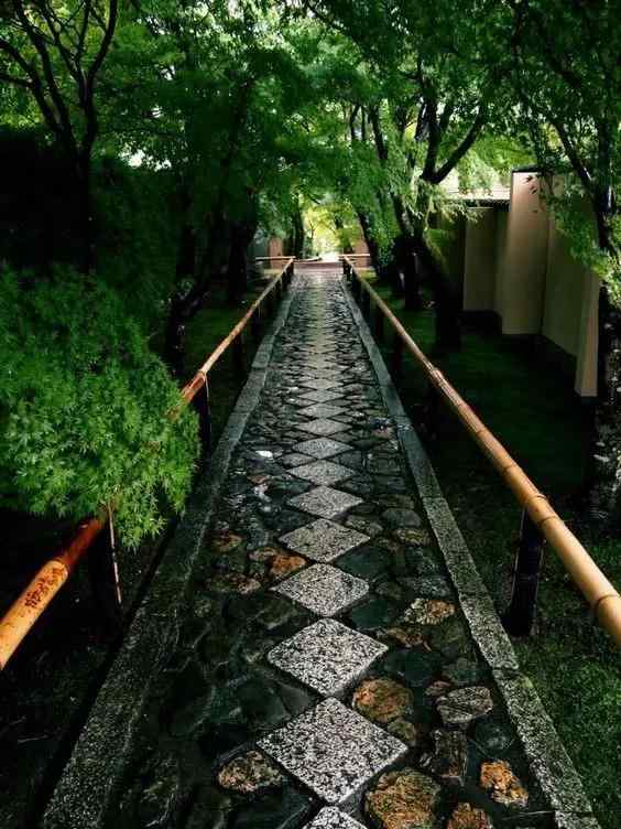 景观石5-19100521395W43.jpg 铺一路的静谧深秋(图15)