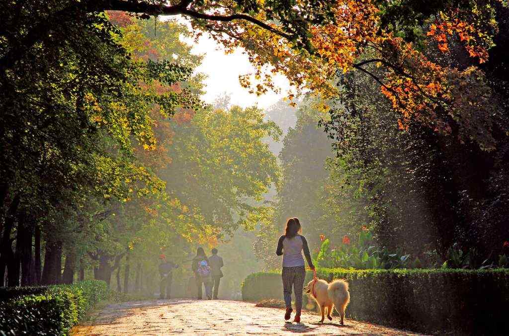 景观石5-191005213G55N.jpg 景观石5-191005213G55N.jpg