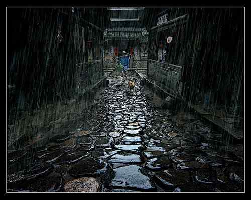 景观石5-191005213P04G.jpg 铺一路的静谧深秋(图6)