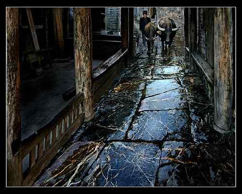 景观石5-191005213P0555.jpg 铺一路的静谧深秋(图8)