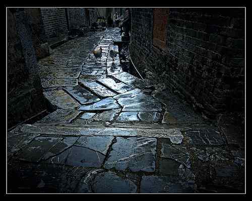 景观石5-191005213P0953.jpg 铺一路的静谧深秋(图7)