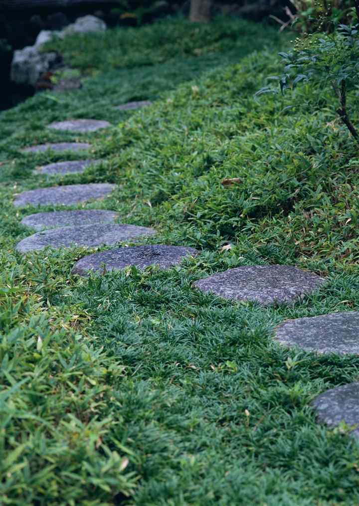 景观石5-19100521411c29.jpg 铺一路的静谧深秋(图19)