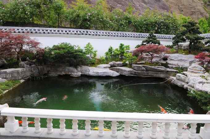 细说鱼池与风水