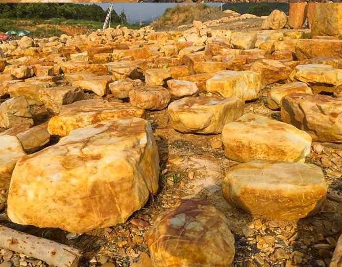 场地上新进的黄蜡石