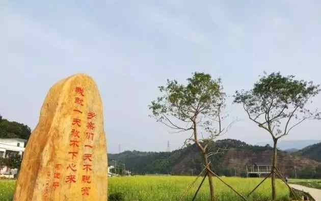 常见园林景观石，园林设计好风光