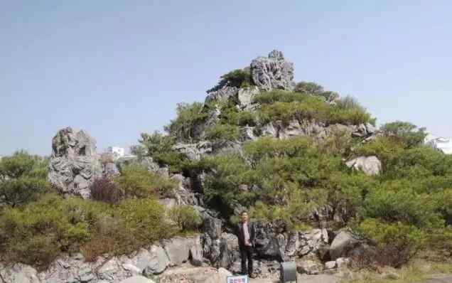 常见园林景观石，园林设计好风光(图5)