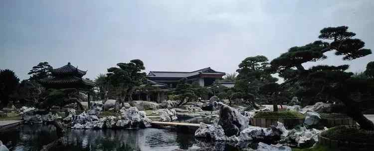 假山石的种类总结