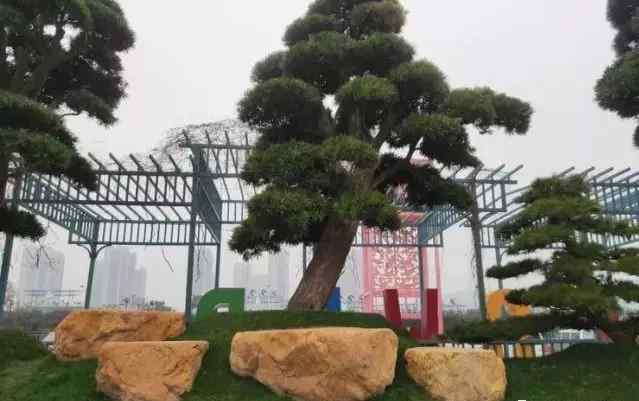 常见园林景观石，园林设计好风光(图9)