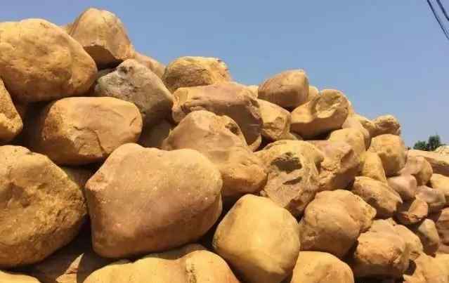 常见园林景观石，园林设计好风光(图13)