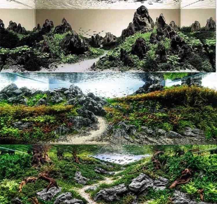 常见园林景观石，园林设计好风光(图21)