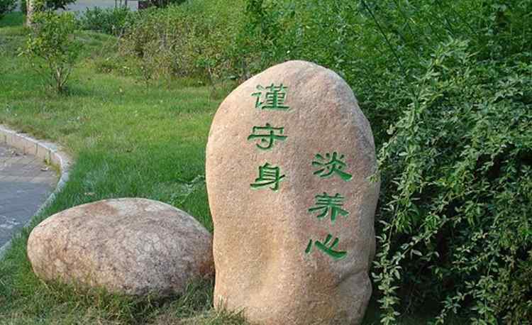 景观石周边植物的搭配