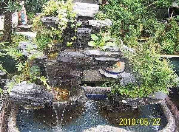 假山鱼池的清洁与养护