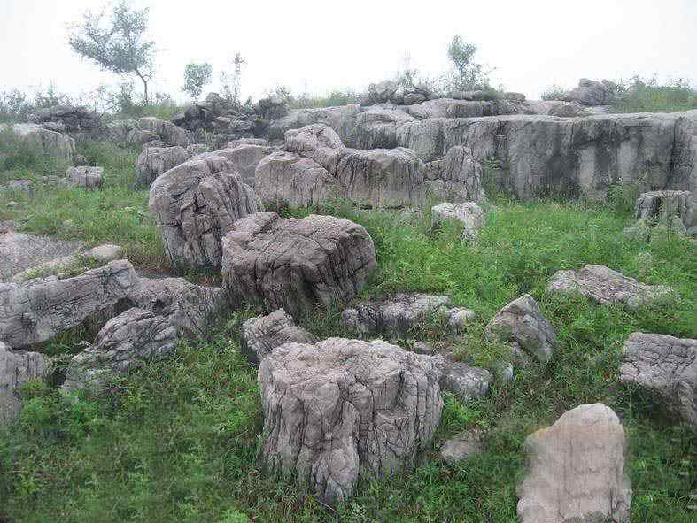 龟纹石的价值所在