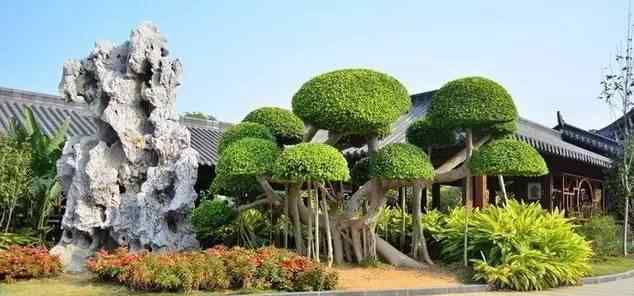 景观石的加工方法总结