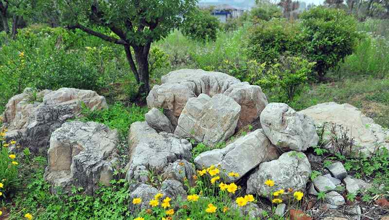 景观石精品收藏的原则