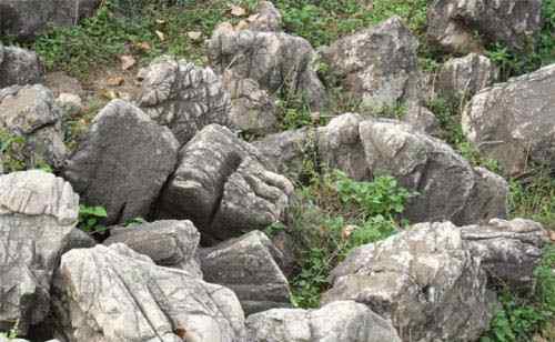 龟纹石形成的过程