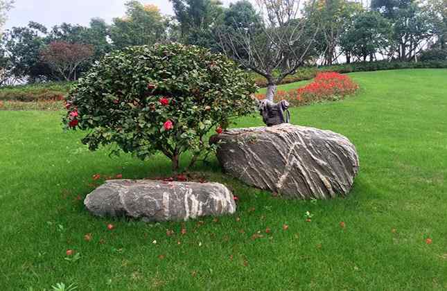 泰山石一不小心摆放错误就会惹祸