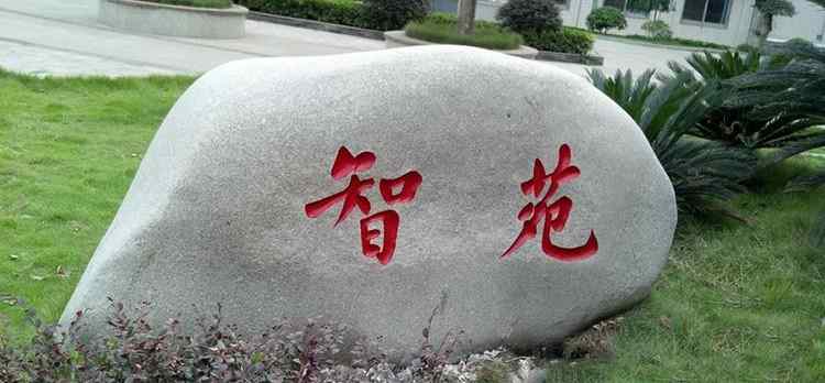 风景石景观石周边植物的搭配技巧