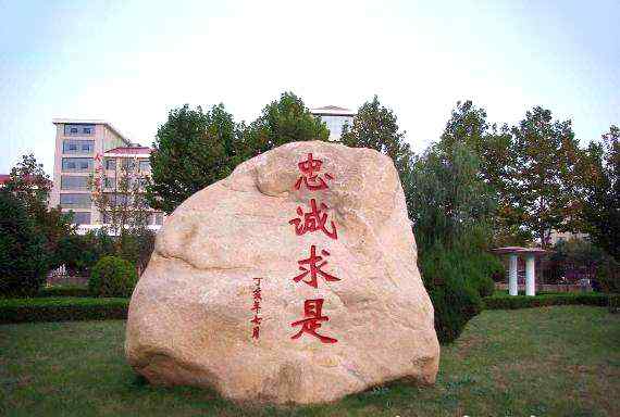 景观石5-19102214210a12.jpg 景观石5-19102214210a12.jpg