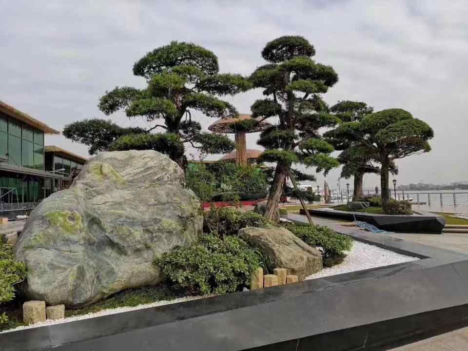 景观石5-191030151K2646.jpg 景观石5-191030151K2646.jpg