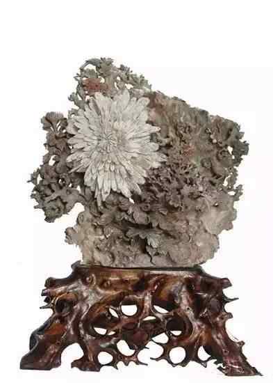 景观石5-19103016051a94.jpg 史上最全最美中华奇石,一百年难得一见!令人大饱眼福!!看你能否认全?(图9)