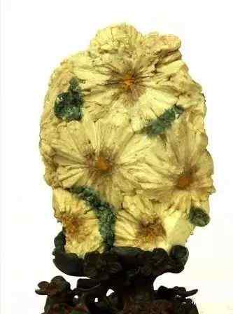 景观石5-191030161202192.jpg 史上最全最美中华奇石,一百年难得一见!令人大饱眼福!!看你能否认全?(图28)