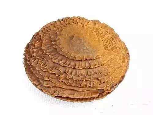 景观石5-191030161605349.jpg 史上最全最美中华奇石,一百年难得一见!令人大饱眼福!!看你能否认全?(图50)