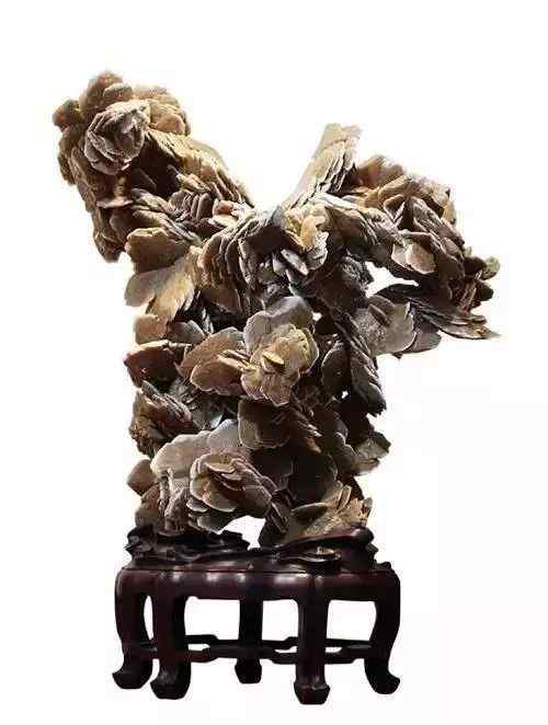 景观石5-19103016243QR.jpg 史上最全最美中华奇石,一百年难得一见!令人大饱眼福!!看你能否认全?(图83)