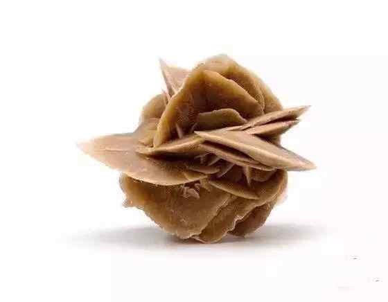 景观石5-19103016243UU.jpg 史上最全最美中华奇石,一百年难得一见!令人大饱眼福!!看你能否认全?(图86)