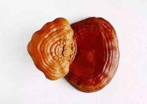 景观石5-191030162621O3.jpg 史上最全最美中华奇石,一百年难得一见!令人大饱眼福!!看你能否认全?(图92)