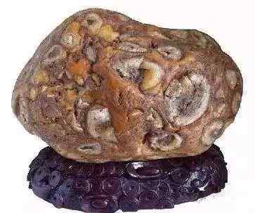 景观石5-191030162Aa13.jpg 史上最全最美中华奇石,一百年难得一见!令人大饱眼福!!看你能否认全?(图94)