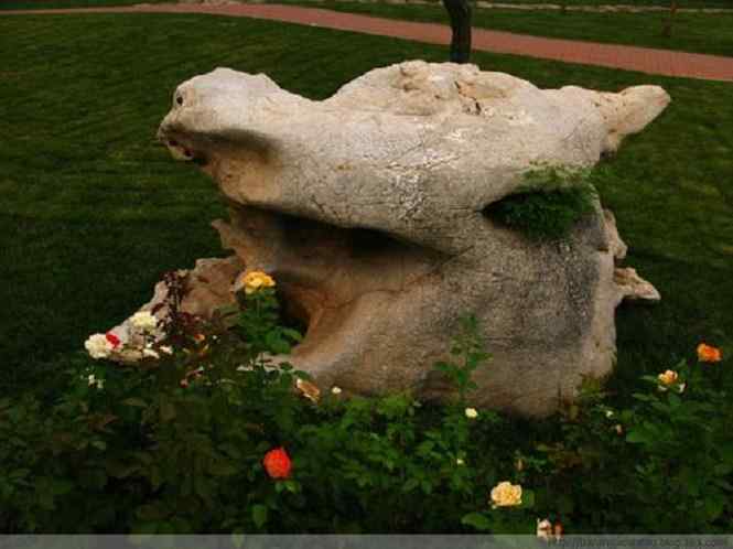 论科学赏石与科学赏石观