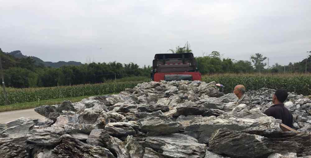 奇石的价值琐谈