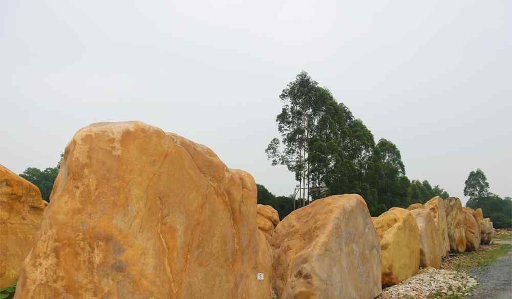 选择奇石重点在一个奇字，因为奇才有观赏价值、才有收藏意义、才