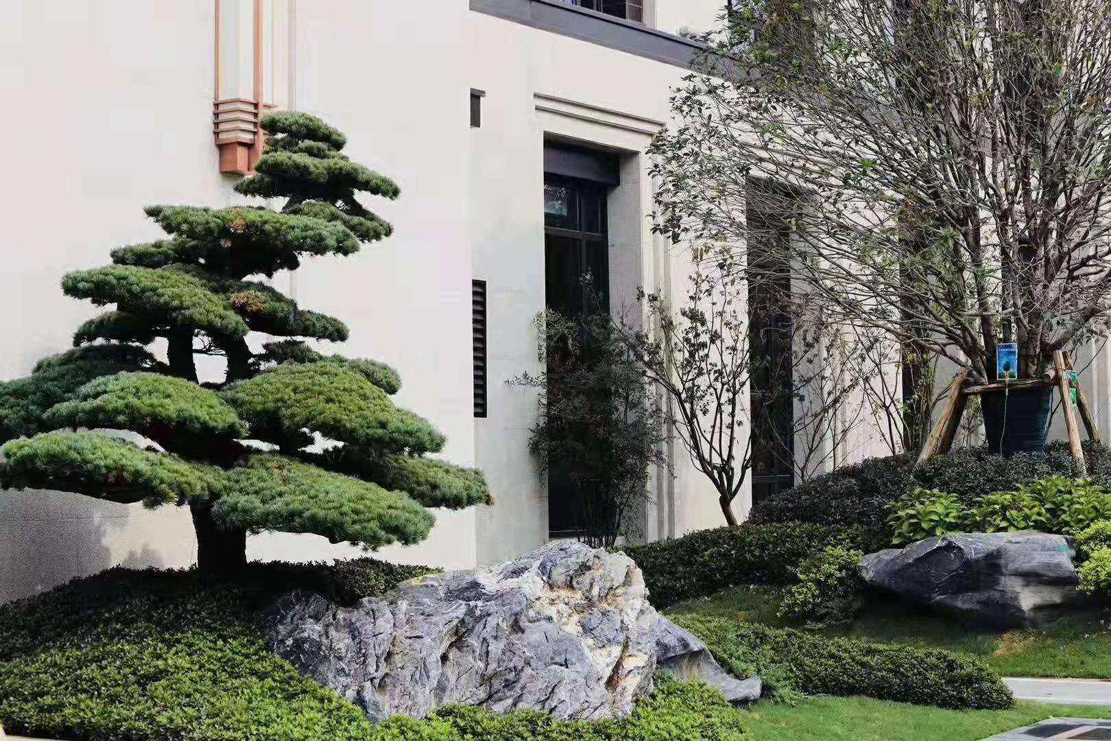 景观石清洁小窍门